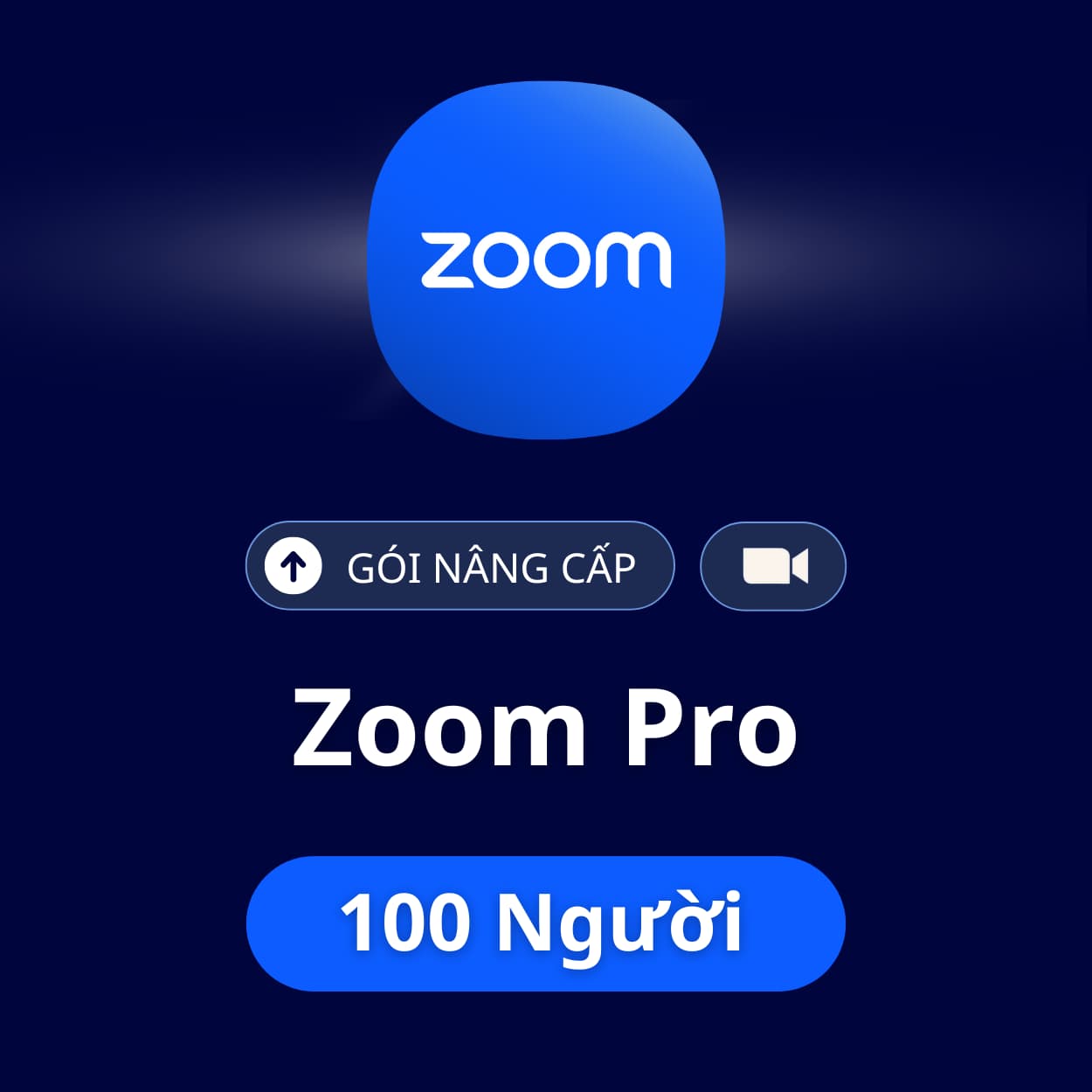Zoom Pro 100 người