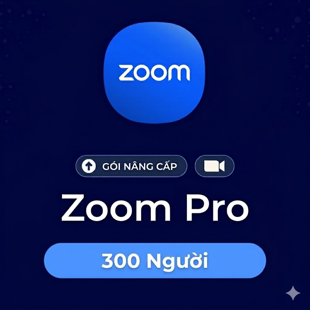 Zoom Pro 300 người